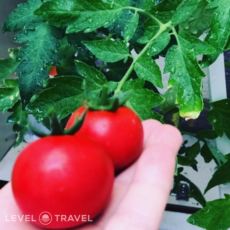Одноместный номер — фото 2