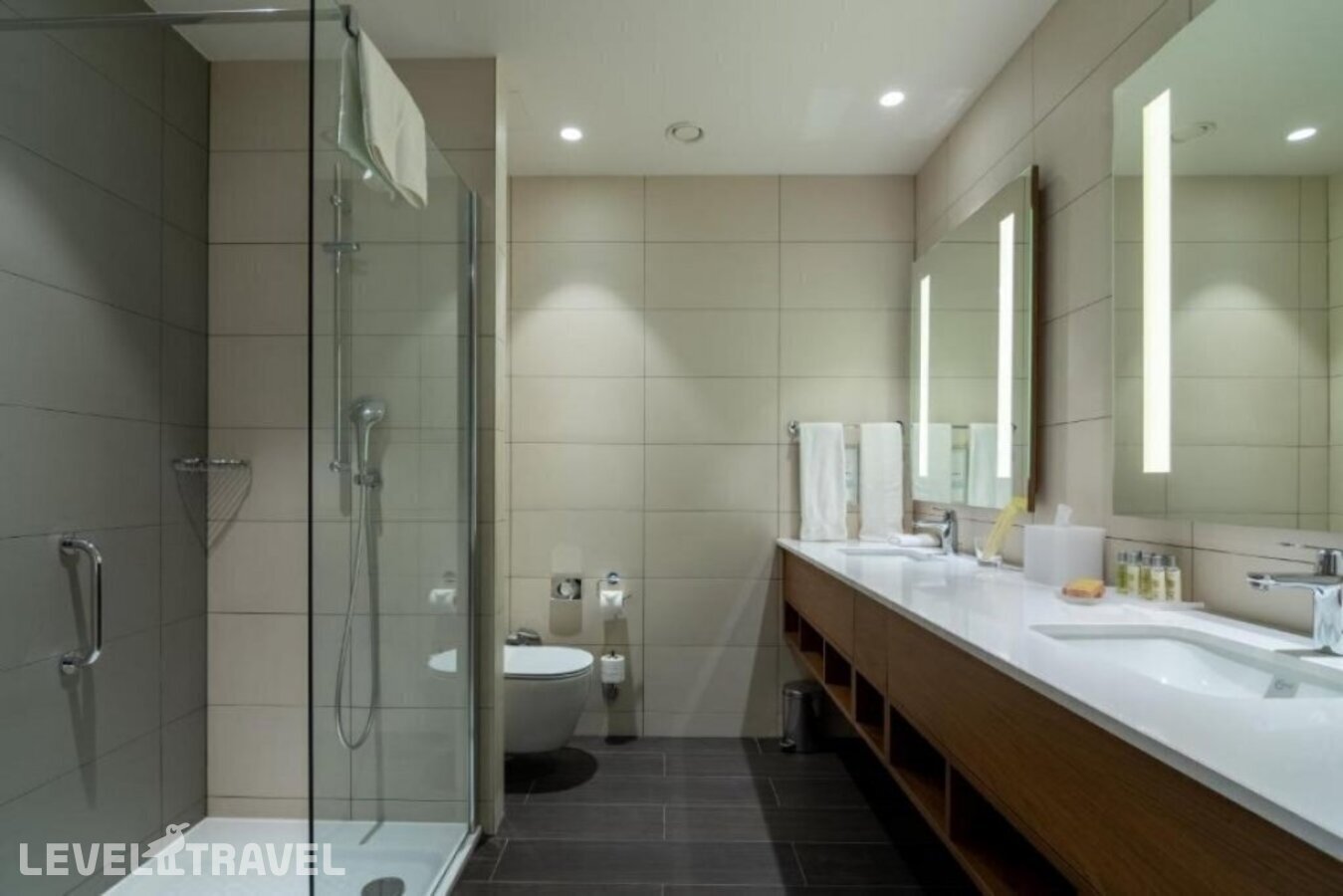 фотографии номера Стандартный номер отеля Hilton Garden Inn Tbilisi Chavchavadze в Грузия(Тбилиси) - фото №5
