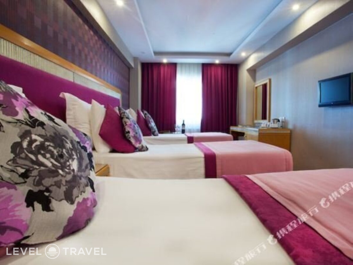 фотографии номера Стандартный номер отеля Carlton Istanbul Hotel в Турция(Фатих) - фото №15