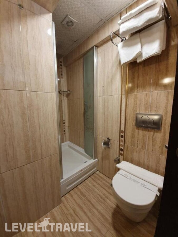 фотографии номера Стандартный номер отеля Elysion Hotel в Турция(Фатих) - фото №4