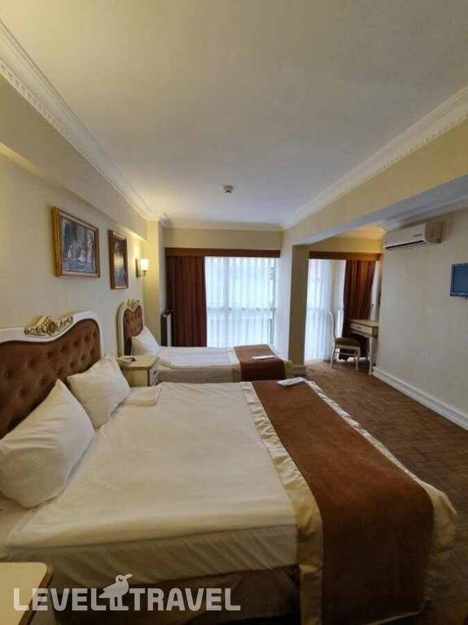 фотографии номера Стандартный номер отеля Elysion Hotel в Турция(Фатих) - фото №2