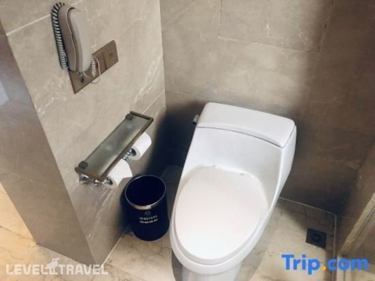 фотографии номера Представительский номер отеля Guyi Jade Eco-Wellness Hotel (Ex. Urban Island Hotel Shanghai) в Китай(Шанхай) - фото №16