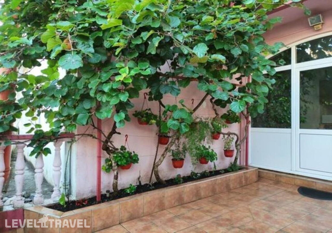 фотографии номера Трехместный номер отеля Rooms Kuljic в Черногория(Будва) - фото №5