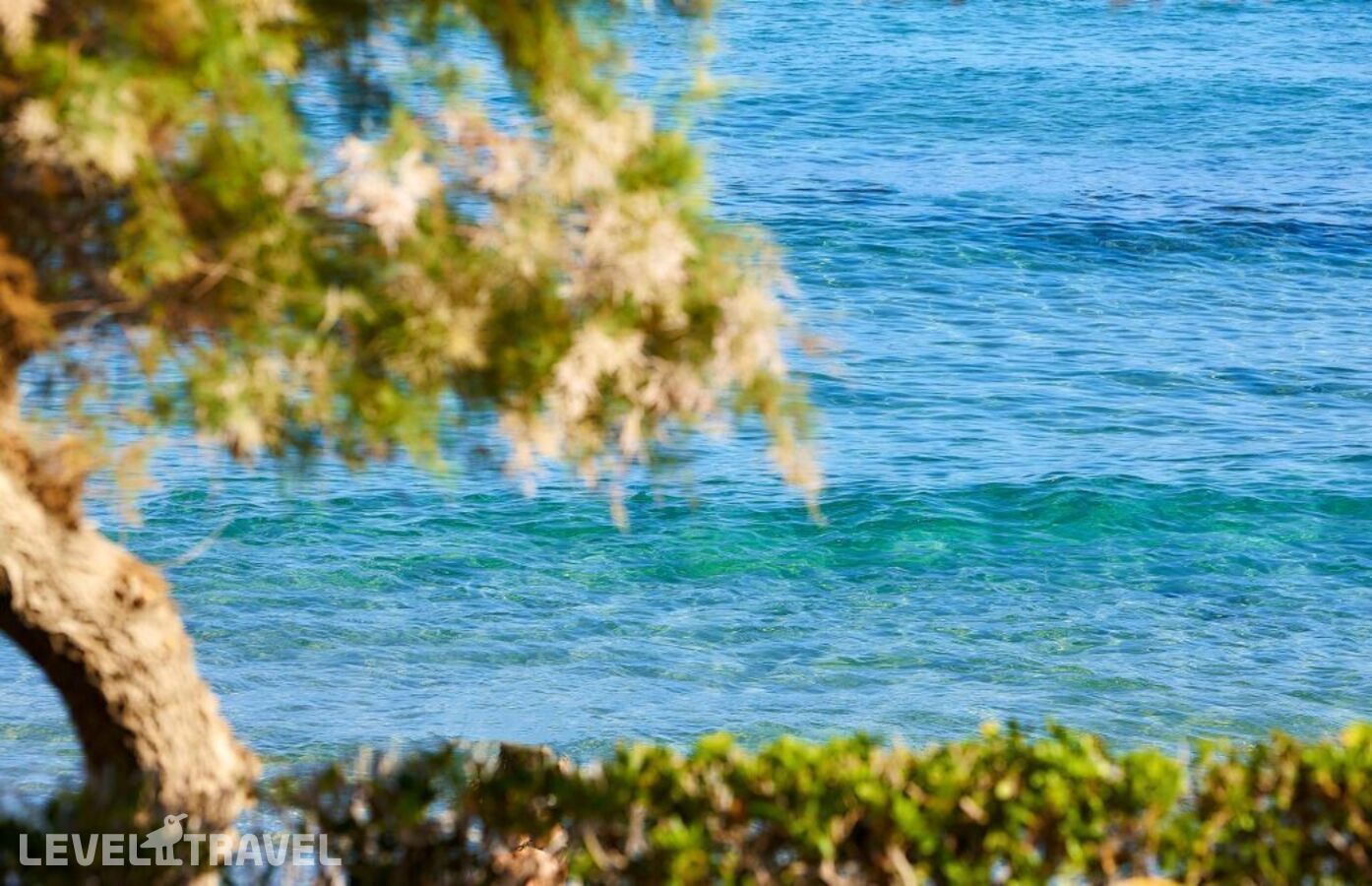 фотографии номера Комфорт с видом на море отеля Alexander Beach Hotel & Village в Греция(Сталида) - фото №5