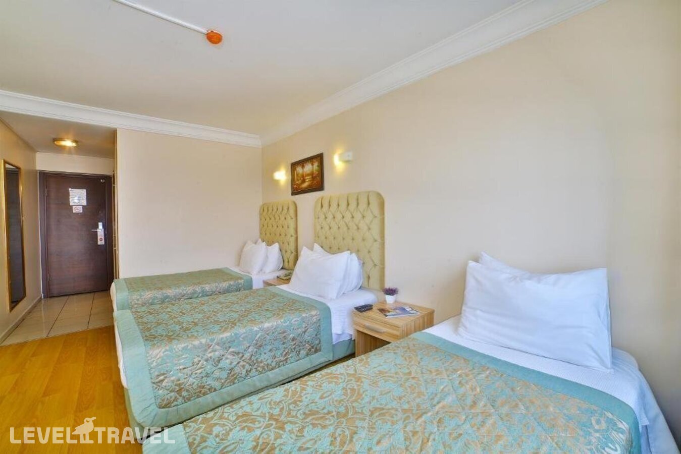 фотографии номера Трехместный номер отеля Grand Ant Hotel в Турция(Фатих) - фото №8