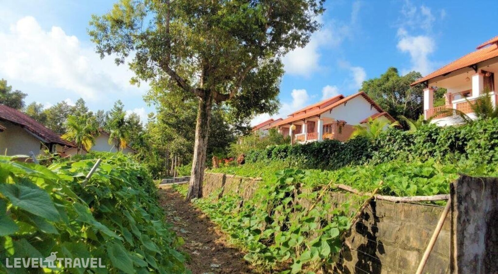 фотографии номера Делюкс (две односпальные кровати) отеля The Garden House Phu Quoc в Вьетнам(Фукуок) - фото №25