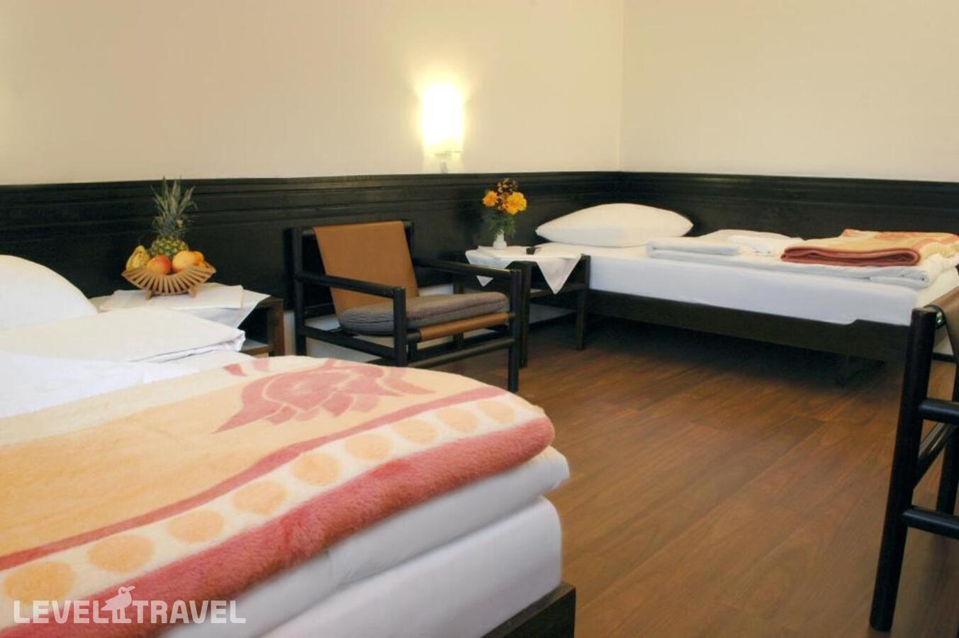 фотографии номера Стандартный (две односпальные кровати) отеля Hotel Komovi в Черногория(Андриевица) - фото №7