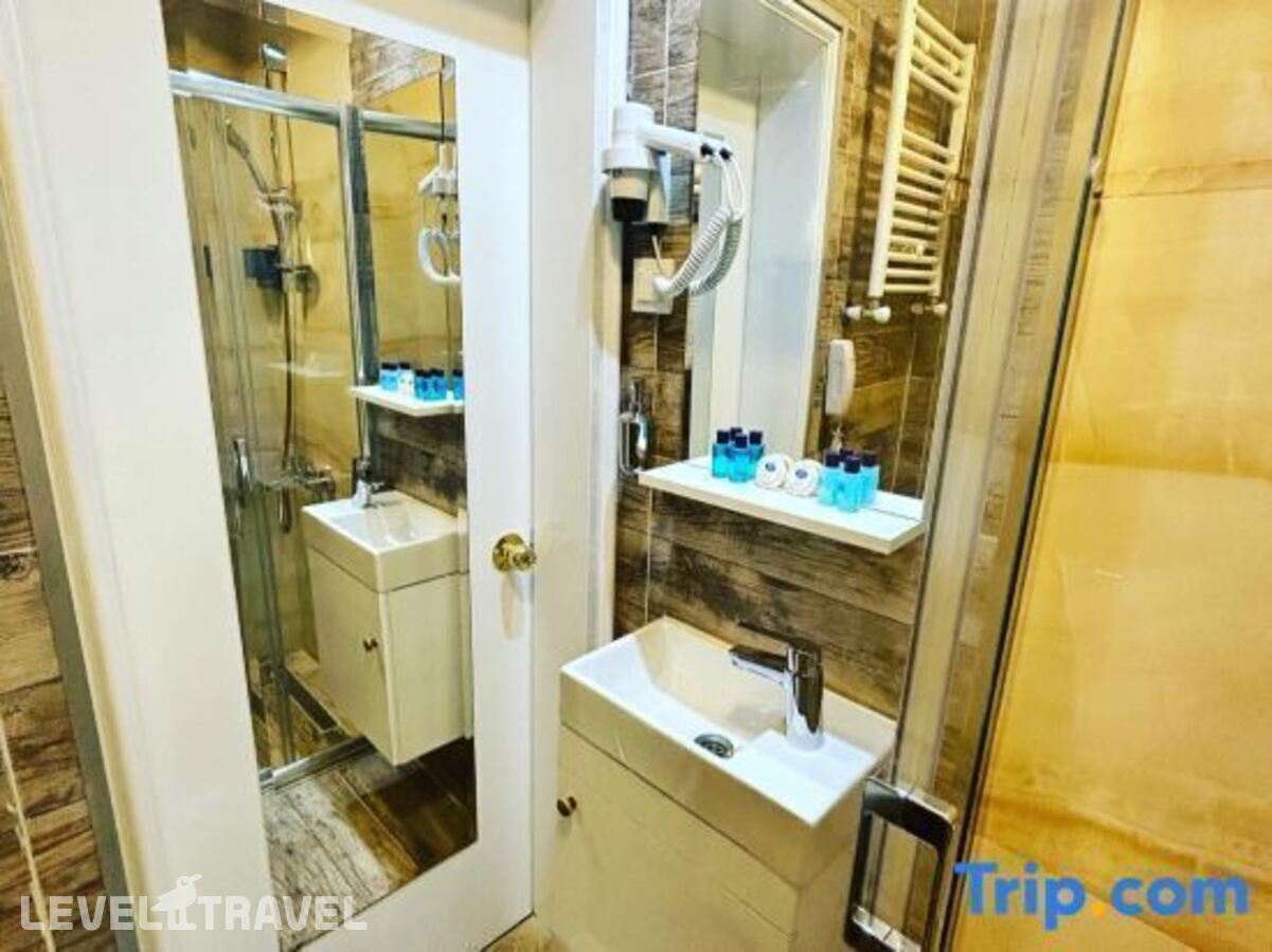 фотографии номера Трехместный с видом на город отеля Bakirkoy Tashan Business & Airport Hotel (Ex. Best Western Tashan Business) в Турция(Бакыркёй) - фото №6